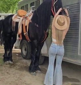 HT9. My husband asked for a divorce right after receiving this photo from me! Can you believe it?