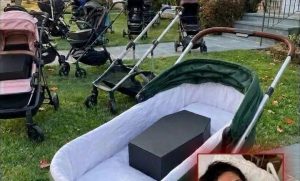 HT10. After Losing My Newborn Son, I Gave Away His Baby Things — By Morning, My Lawn Was Filled With Strollers