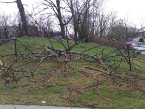 HT9. More than 200K homes across Tri-State left without power after Tuesday's storms