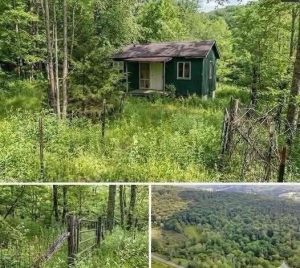 HT10. A Secluded 19000 Dollar Property Offers 15 Acres a Creek and a Tiny Bungalow
