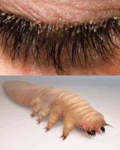 HT9. These are the consequences of sleeping with the… See more