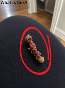 HT10. I Woke Up in the Middle of the Night Convinced Something Was Biting My Skin, Only to Discover a Terrifyingly Real Sensation That Sent Me Into Panic