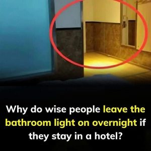 HT10. Keep bathroom light on when sleeping in hotel – Here’s why