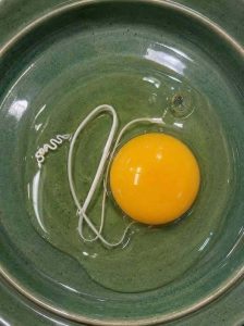 HT10. This morning, I woke up and decided to make fried eggs.