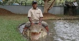 HT9. Chilling footage shows crocodile handler dragged underwater at park in fatal attack