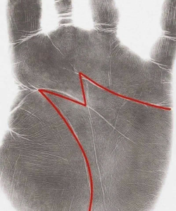 HT5. Did you know that having the letter in the palm of your hand means that See more