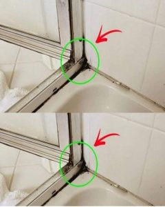 HT10. The Fastest Way to Get Rid of Shower Silicone Mildew