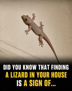 HT10. What Does It Mean When a Lizard Visits Your Home? Here’s What Different Beliefs Say