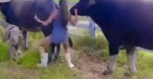 HT9. Search Results for “A Quiet Visit to Her Grandmother’s Farm Took a Turn”