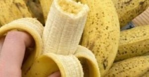 HT10. Search Results for “Over 50? This Simple Banana Trick Could Boost Your Health-”