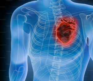 HT10. More people are dying from heart failure, doctors warn: give up these 4 habits now –