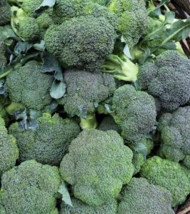 HT9. Doctors reveal that eating broccoli causes …