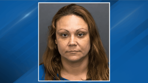 HT9. Indiana mother accused of drinking, passing out as 3-year-old drowned in pool