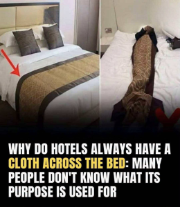 HT10. What’s the Purpose of the Fabric Strip Across Hotel Beds? The Answer Is Simpler Than You Think