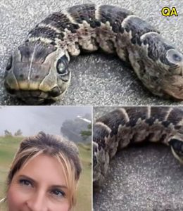 HT5. What on Earth is this? Woman discovers creepy ‘snake’ with two heads in her garden