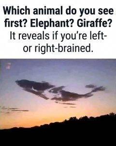 HT5. Which animal do you see first? Elephant? Giraffe?