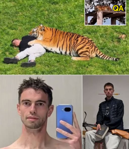 HT9. THE FINAL VIDEO FILMED BY THE TIGER ATTACK VICTIM HIMSELF HAS BEEN REVEALED — THE TIGER WAS STILL LYING MOTIONLESS AS HE APPROACHED, BUT THE UNUSUAL SOUNDS IN THE CLIP ARE THE DETAIL THAT SENDS CHILLS DOWN VIEWERS’ SPINES!