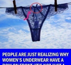 HT9. Why Womens Underwear Have A Bow On Front