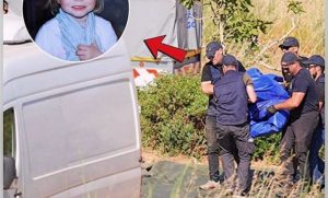 HT9. Missing son found in the woods her father was the one who…