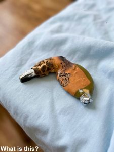 HT5. Found in the oven after cooking Thanksgiving dinner…